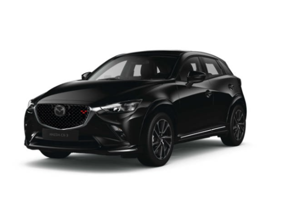Jet Black Mica