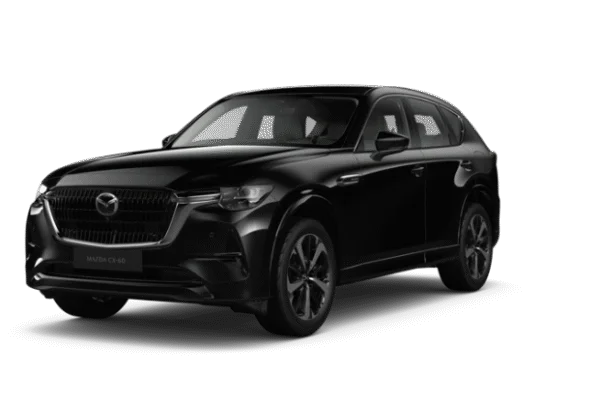 Jet Black Mica