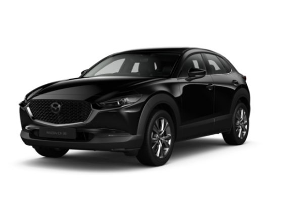 Jet Black Mica